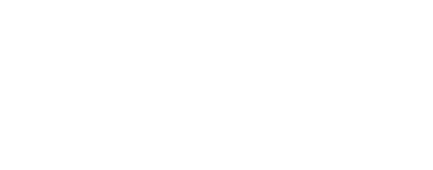 Terms Of Use | Pruvo